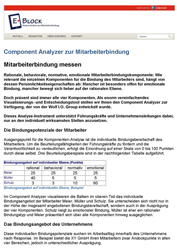 Publikationen Component Analyzer zur Mitarbeiterbindung