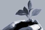 Personal halten durch Talentmanagement