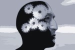 Limbic Marketing Seminar Neuromarketing Strategie
