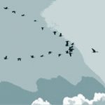 Seminar: Führungspsychologie. Psychologie für Führungskräfte